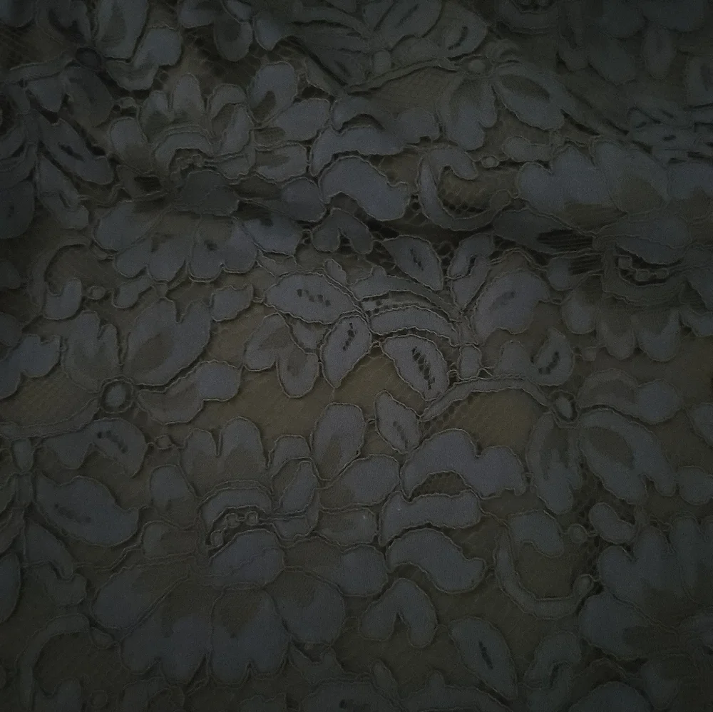 Tahari Navy Lace Dress - Picture 5 of 12